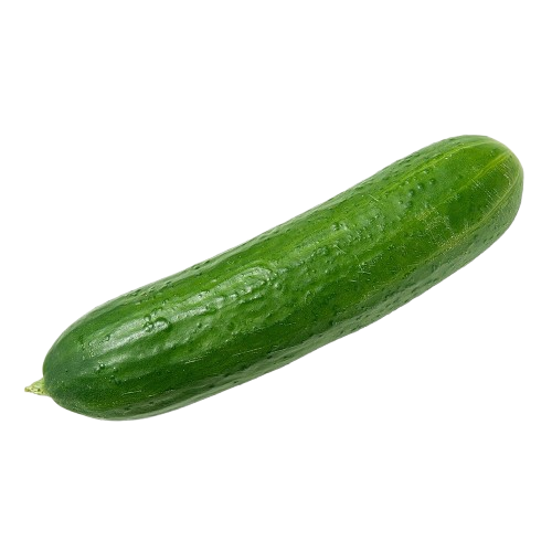 Cucumber